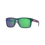 Oakley Holbrook 